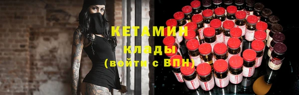 шишки Арсеньев