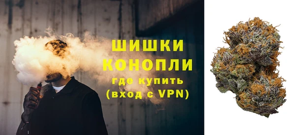 шишки Арсеньев