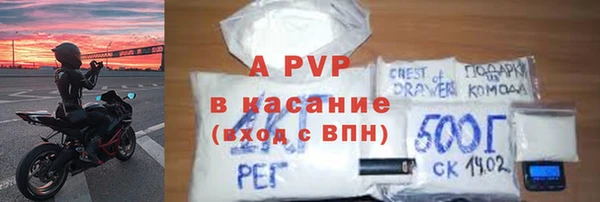 шишки Арсеньев