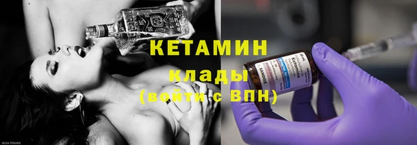 шишки Арсеньев
