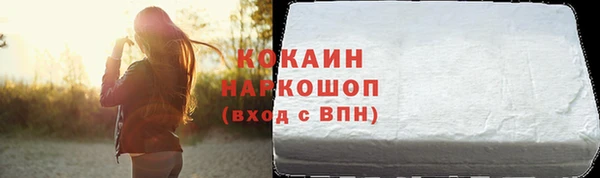 шишки Арсеньев