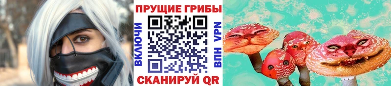 Псилоцибиновые грибы Cubensis Горняк